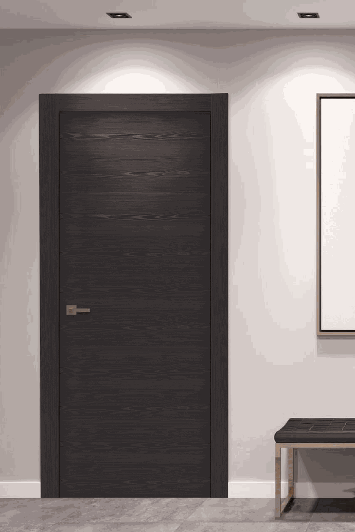 porte interieur moderne